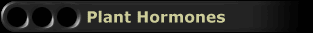Plant Hormones